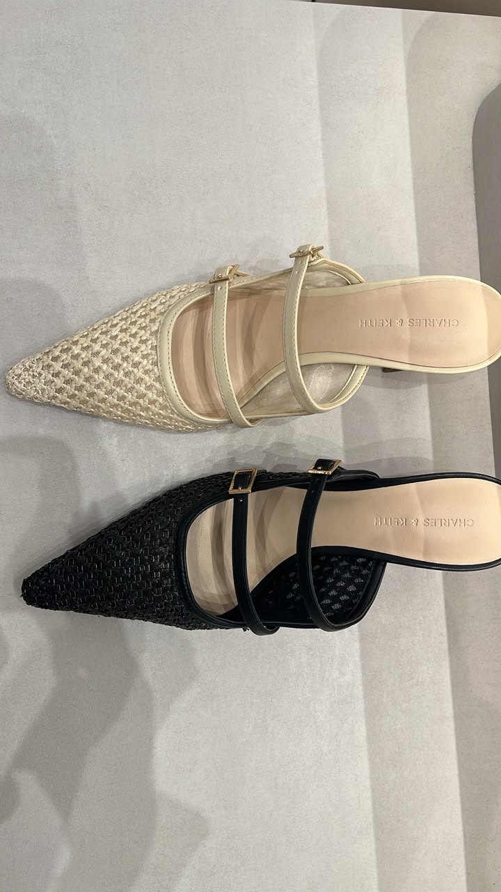 Charles & Keith Woven Pointed-Toe Mary Jane Mules